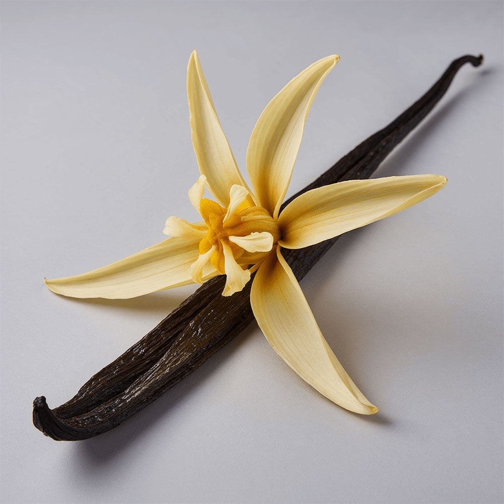 Whipped Tallow Balm