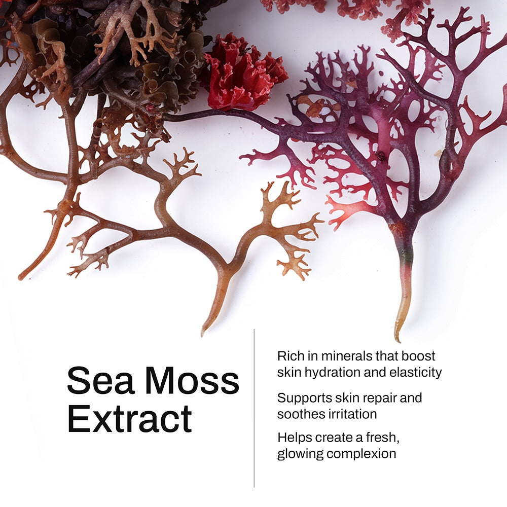 Manuka Honey Sea Moss Body Oil