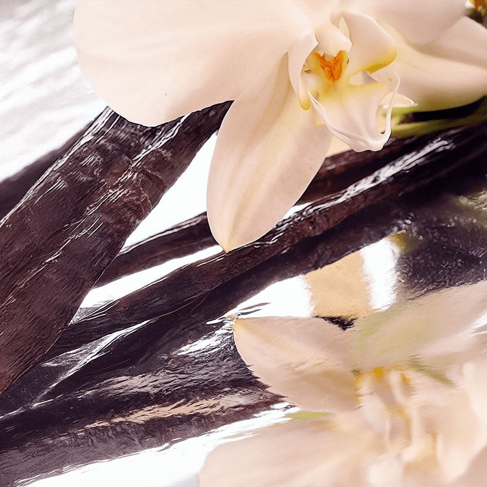 Whipped Tallow Balm